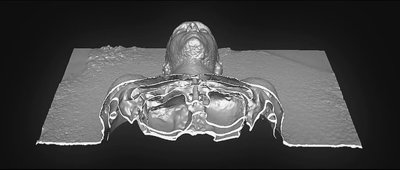 Woodkid - 'THE GOLDEN AGE' feat. Max Richter 'EMBERS' (Official HD Video)