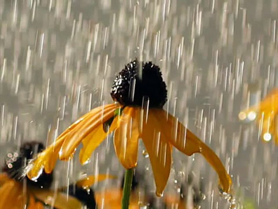 Emrah Altınok ♫♥♪  NEFESİMİ SÜREYİM ♫♥♪  (SEYDUNA TÜRKÜLERİ)