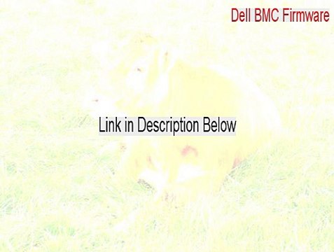 Dell BMC Firmware, v.1.23, A03 Cracked [dell bmc firmware incompatible with cpu 2015]