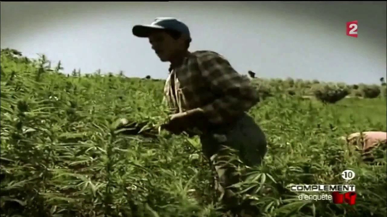 Maroc, les forçats du Haschich (FR)