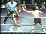 SALVADOR SANCHEZ BEST BOXING FIGHT VIDEO