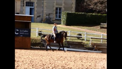 equi libre fevrier 2015 entrainement