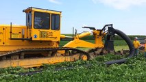 Plowed Installation of 12  Flexible Farm Drainage Tile with Inter-Drain 2040 SP