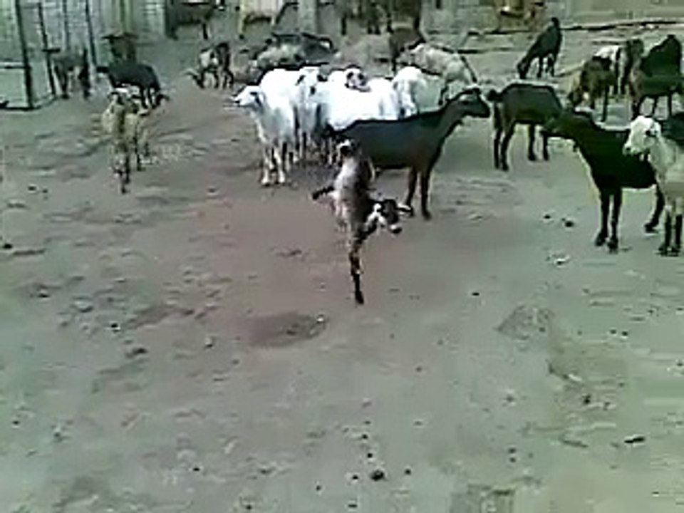 Subhan Allah Subhan Allah