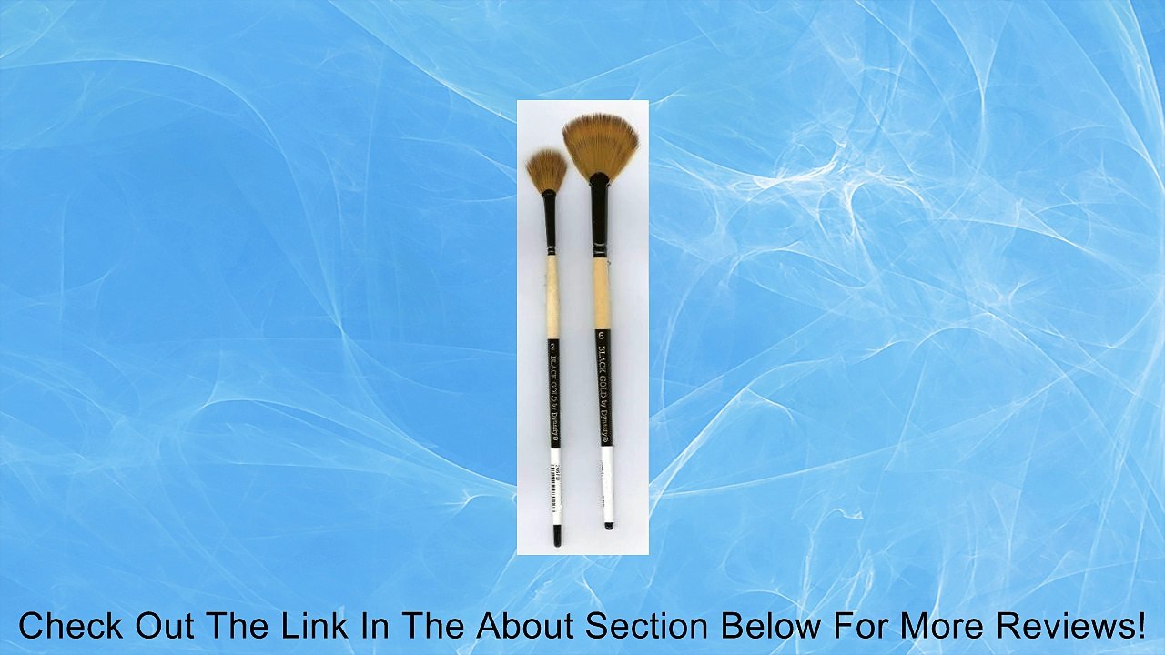 Black Gold Fandango by Dynasty - Size 2 (one brush) Review
