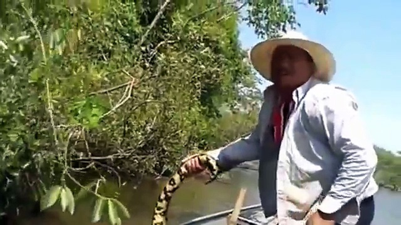 Brezilya'da Dev Anakonda İşte Böyle Görüntülendi!