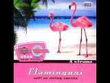 Flamingosi - Lumperaj