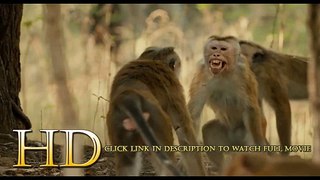 Monkey Kingdom 2015 Film En Entier Streaming Entièrement
