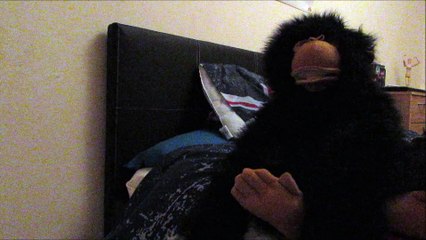 Hank the chimp reviews Doctor who