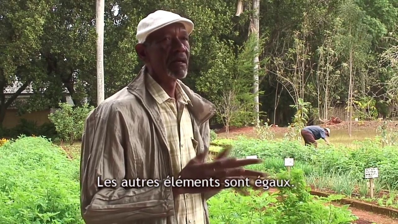 Cuba, La Révolution Verte Urbaine (3/3)