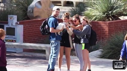 ¿Es más fácil conquistar chicas con la ayuda de un cachorrito?