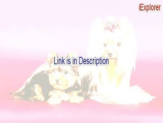 iExplorer Full [Download Now 2015]