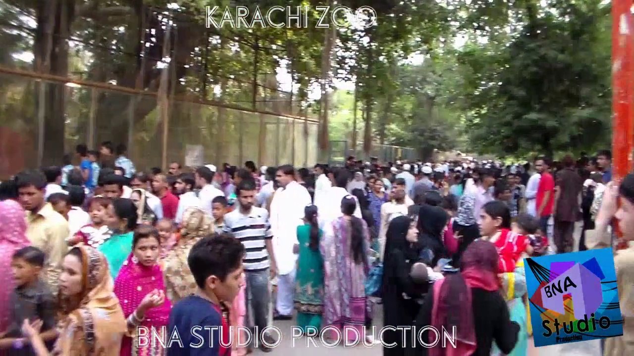 Karachi Zoo - Short Video