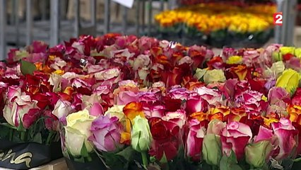 Un nouveau label pour les fleurs "Made in France"