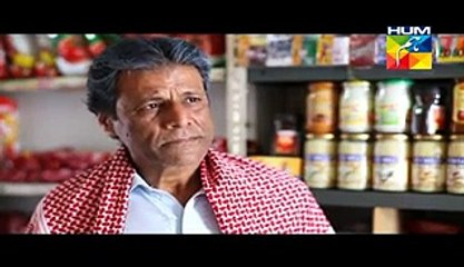 Choti Si Ghalat Fehmi Episode 24 Full Drama on Hum Tv February 26, 2015