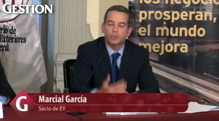 EY: “Cuatro proyectos mineros en el Perú duplicarán la inversión de cobre al 2016”