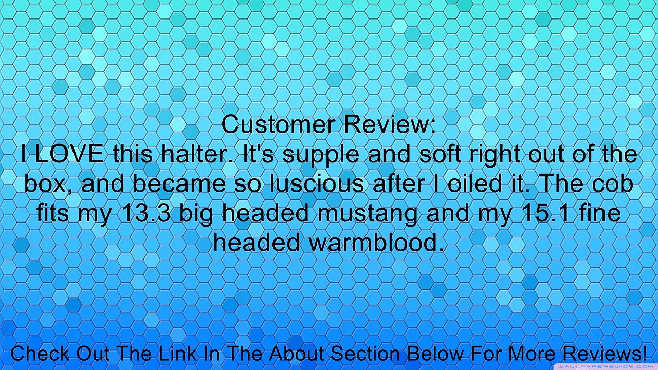 Perri's Soft Padded Leather Halter Review