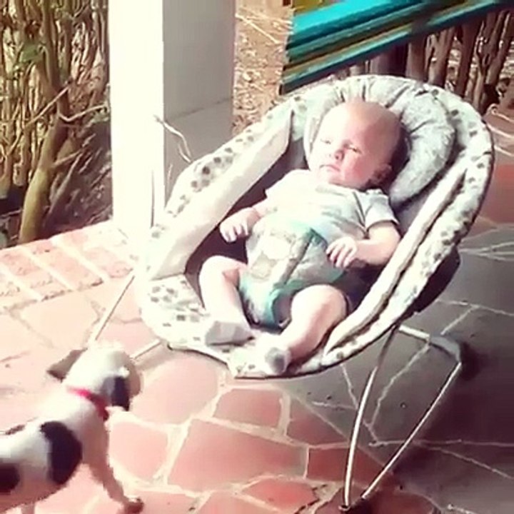 Baby Dog Wants to Take a Nap with his Baby Owner