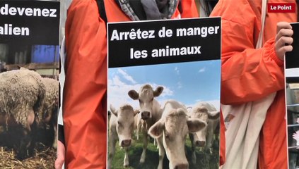 La souffrance animale s'invite au salon de l'agriculture