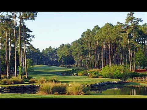 The Best of BunkerShot Golf Magazine - Volume 238