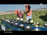 مغاربة اسبانيا والأزمة الخانقة CANAL ATLAS