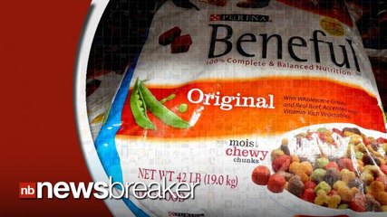 California Man Files Lawsuit Against Purina After Dogs Become Ill, Die