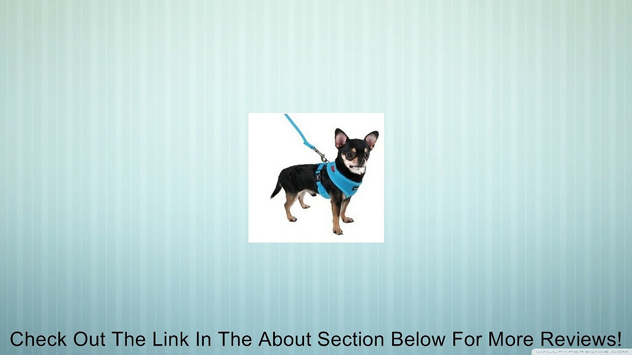 Willtoo(TM) Soft Mesh Dog Harness Soft Dog Harness (XS) Review