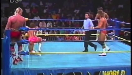 Best of Barry Windham Volume 4