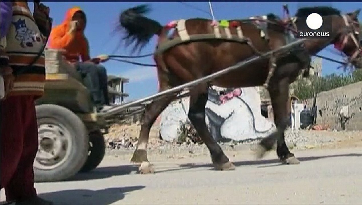 Graffiti-Kunst von Banksy in Gaza