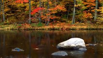 André Rieu - Les Feuilles Mortes (Autumn Leaves)