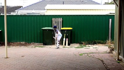 Joels backyard cricket