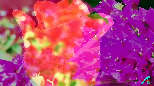 LOVE YOU FOREVER|| Latest Love You Forever Videos||HD FULL VIDEO|Boyfriend Girlfriend Wishes Video-LOVE Wishes Video-Latest Video 2015