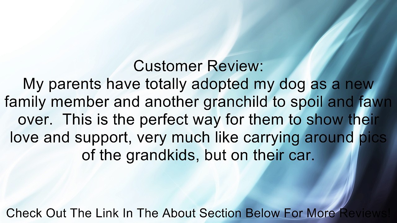 Imagine This, Bone Magnet, Plastic, 2x7 Inches Review