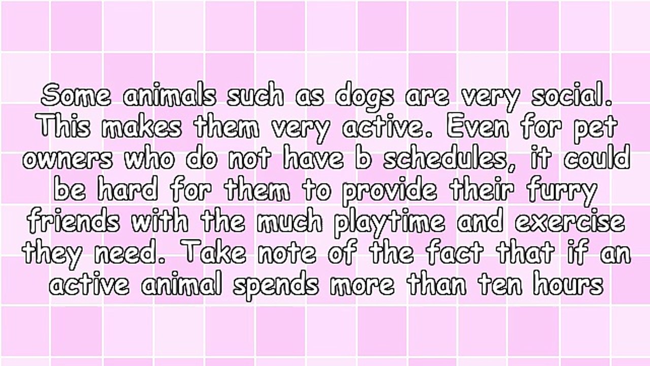 Tips For Finding The Right Dog Daycare Indianapolis