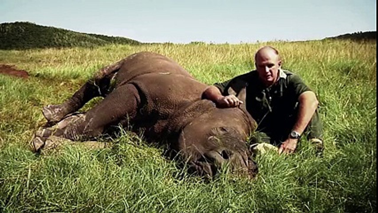 Rino that was not suppose born