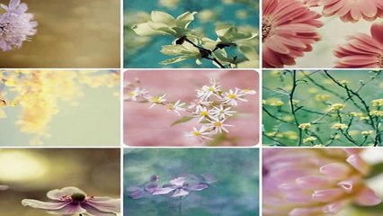 王菲 《给自己的情书》 (粤语)  Faye Wong 词：林夕  曲： C.Y. Kong