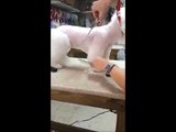 Asian dog grooming styles    teddy bear front leg bichon frise