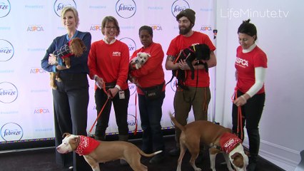Jane Lynch and Toast Meets World join Febreze and the ASPCA to defeat "Noseblindness"