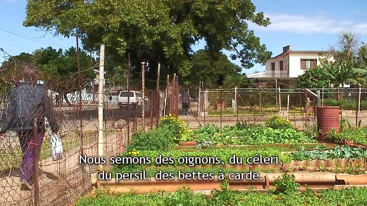 Cuba, La Révolution Verte Urbaine (1/3)