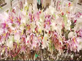 Shanivaar Raati  Official Video Song - Main Tera Hero