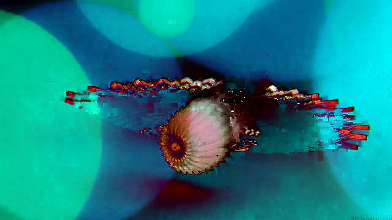 Chris Havok - Submerged