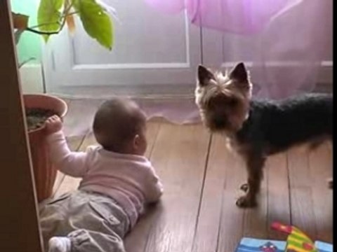 Viens jouer avec moi !