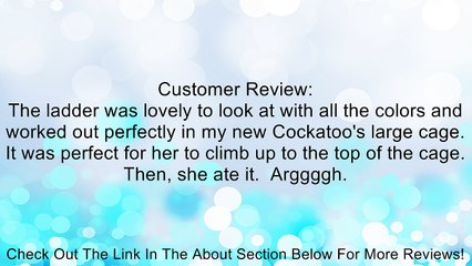 Paradise Parrot Ladder Pet Toy Review
