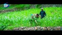 Ao Afghan Master Ali Haider Pashto New Song Promo 2015 HD