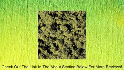 Clump Foliage Review