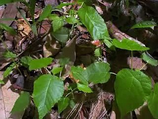 “ .. KÜN FEYE KÜN ..  “