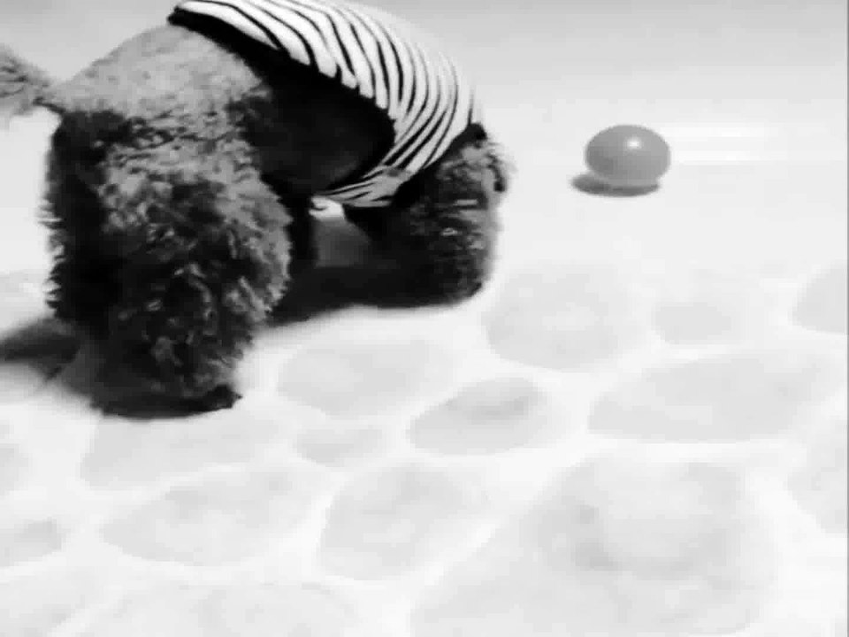 2015-2-10 JungJinHyeong instagram update video