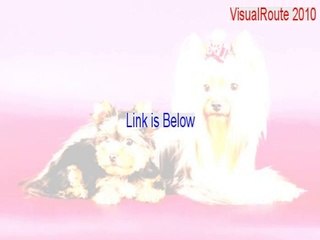 VisualRoute 2010 Serial [Download Now]