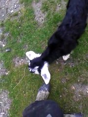 Jhon, Junior, Loulou