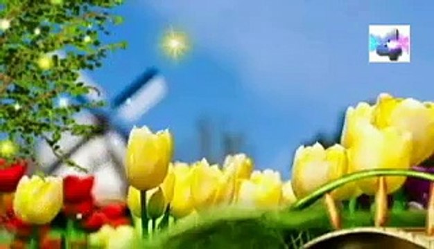 soñar que llevas un ramo de flores al cementerio significado de los sueños español latino